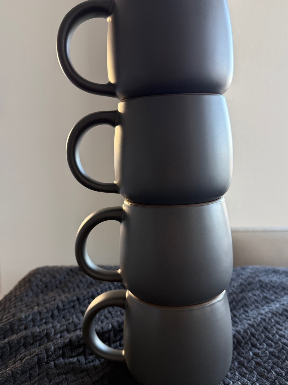 Our Place Night & Day Mugs in Char (Set of 4)